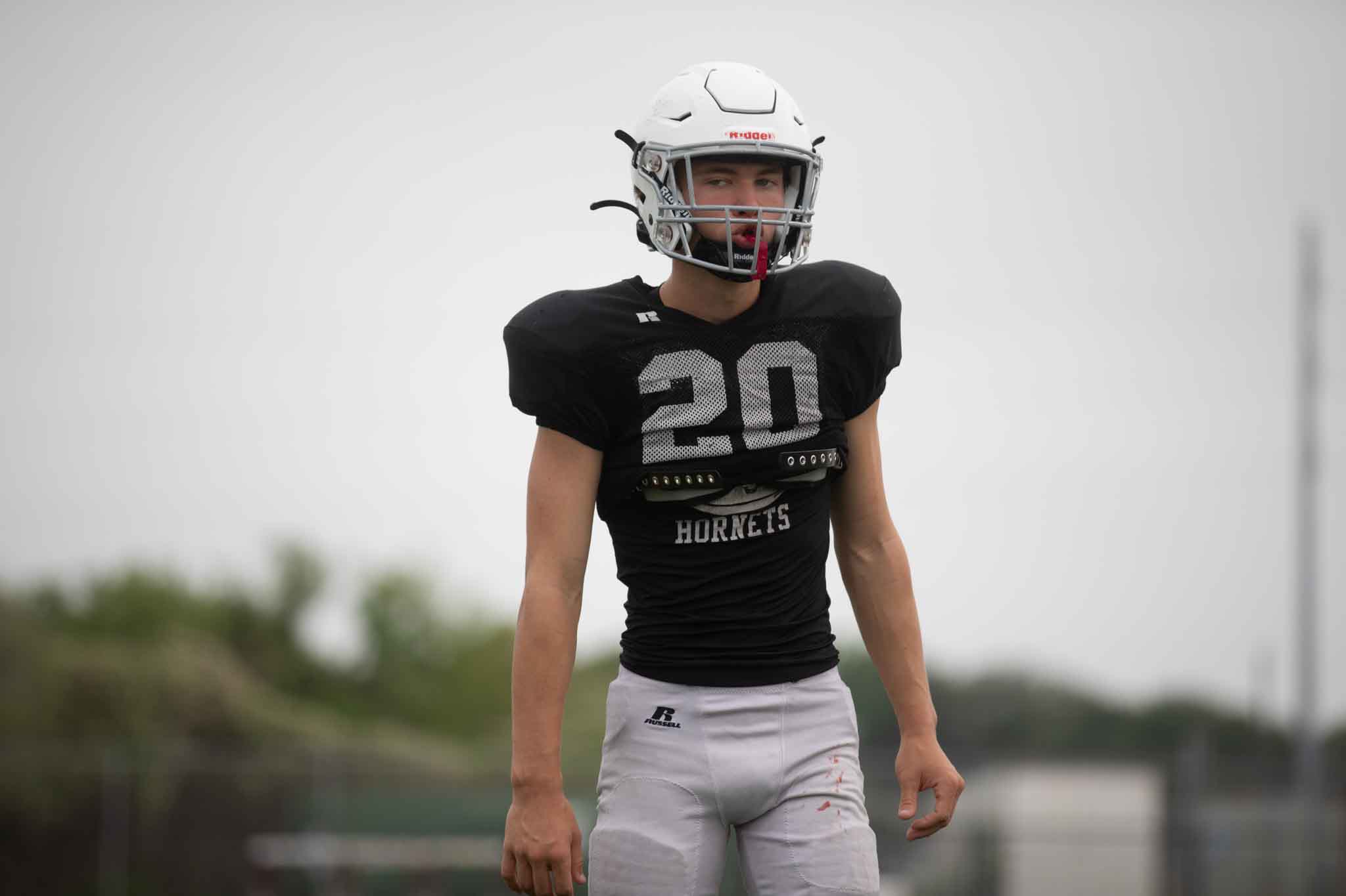 Hornet Highlights