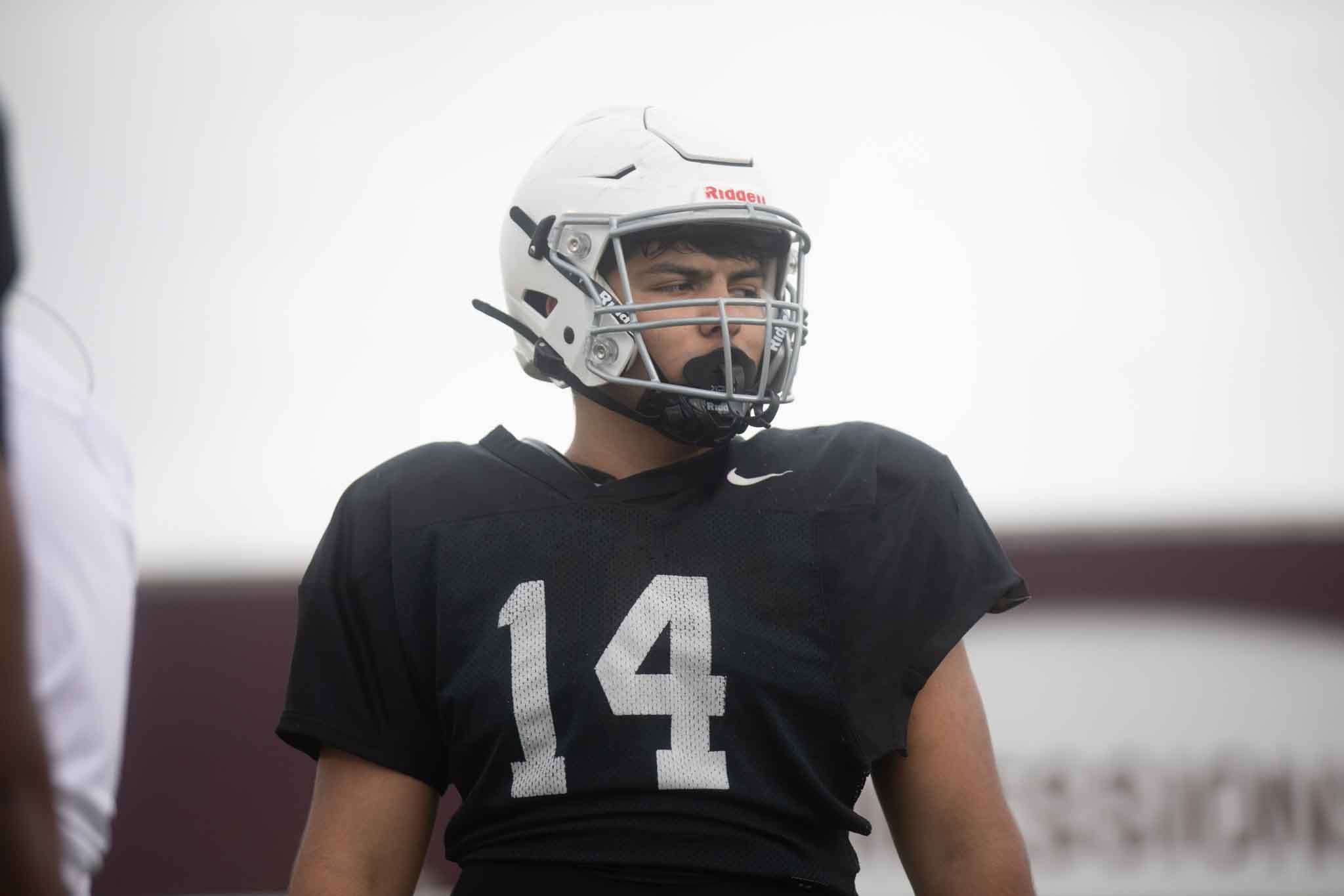 Hornet Highlights